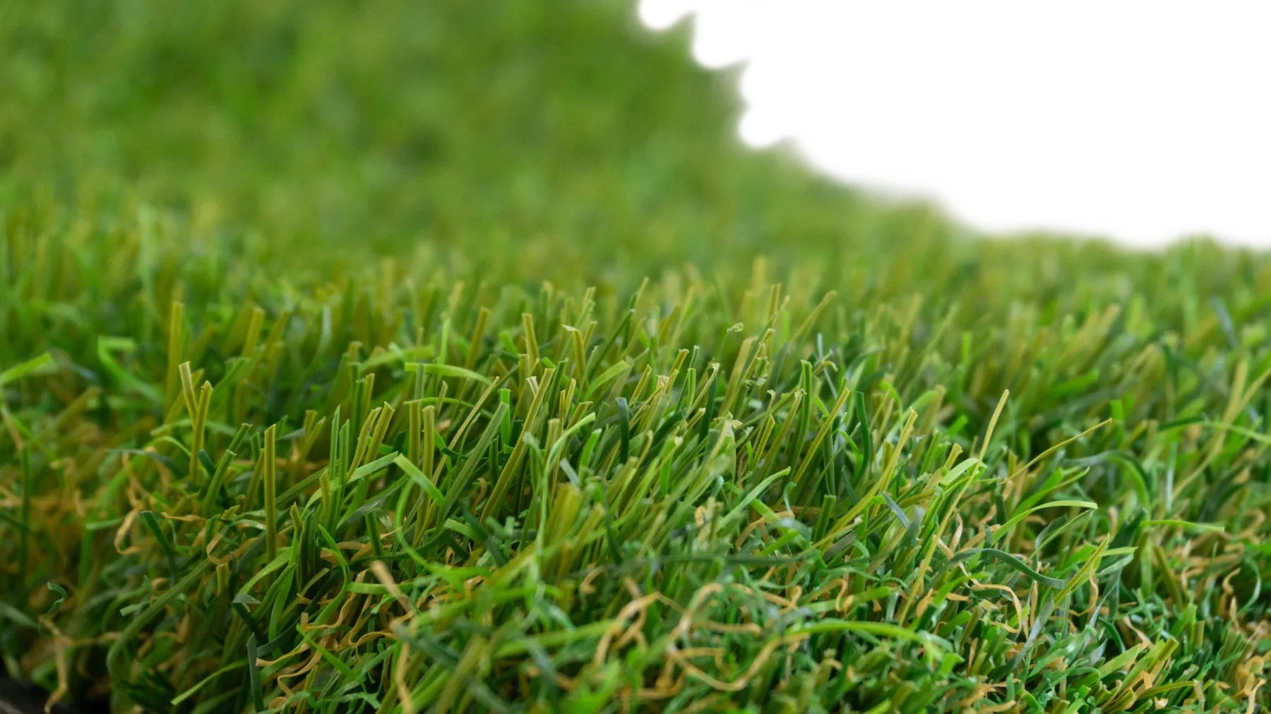 Spring Grass Target Target Grass - El césped que buscabas